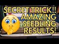 My Sneaky Little Secret to Amazing Seedling Growth!!!