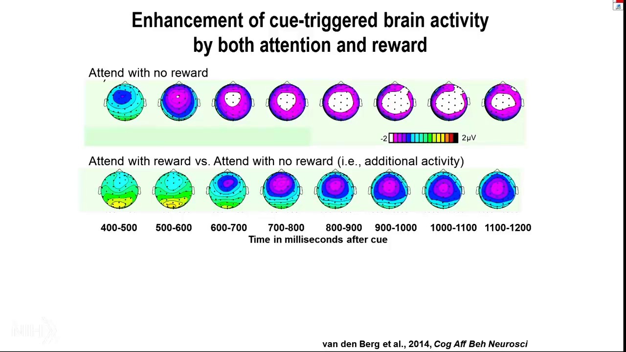 NIH Behavioral and Social Sciences Research Festival 2016: Marty G. Woldorff, Ph.D.