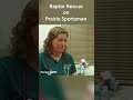 Raptor Rescue: Rehabilitation