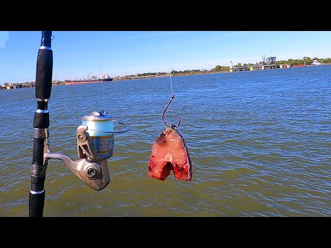 Very new to fishing. Can't believe I didn't know about these. Took the fam  out and these quick change clips made it much more fun. : r/Fishing