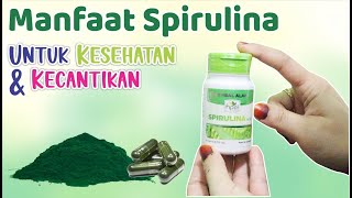 Manfaat Spirulina Yang Banyak Orang Belum Tahu   Penjelasan Ummi Sabil HNI HPAI