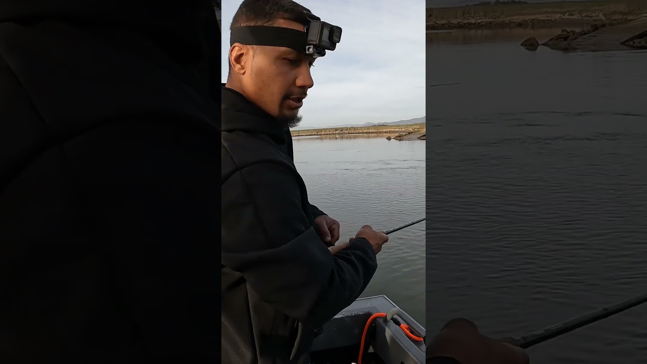 Техника, благодаря которой я поймал 6 рыб в тот день 