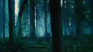 Twilight - Edward & Bella - I know What You Are