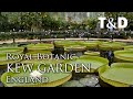 Royal Botanic Gardens, Kew - England Attractions - Travel & Discover