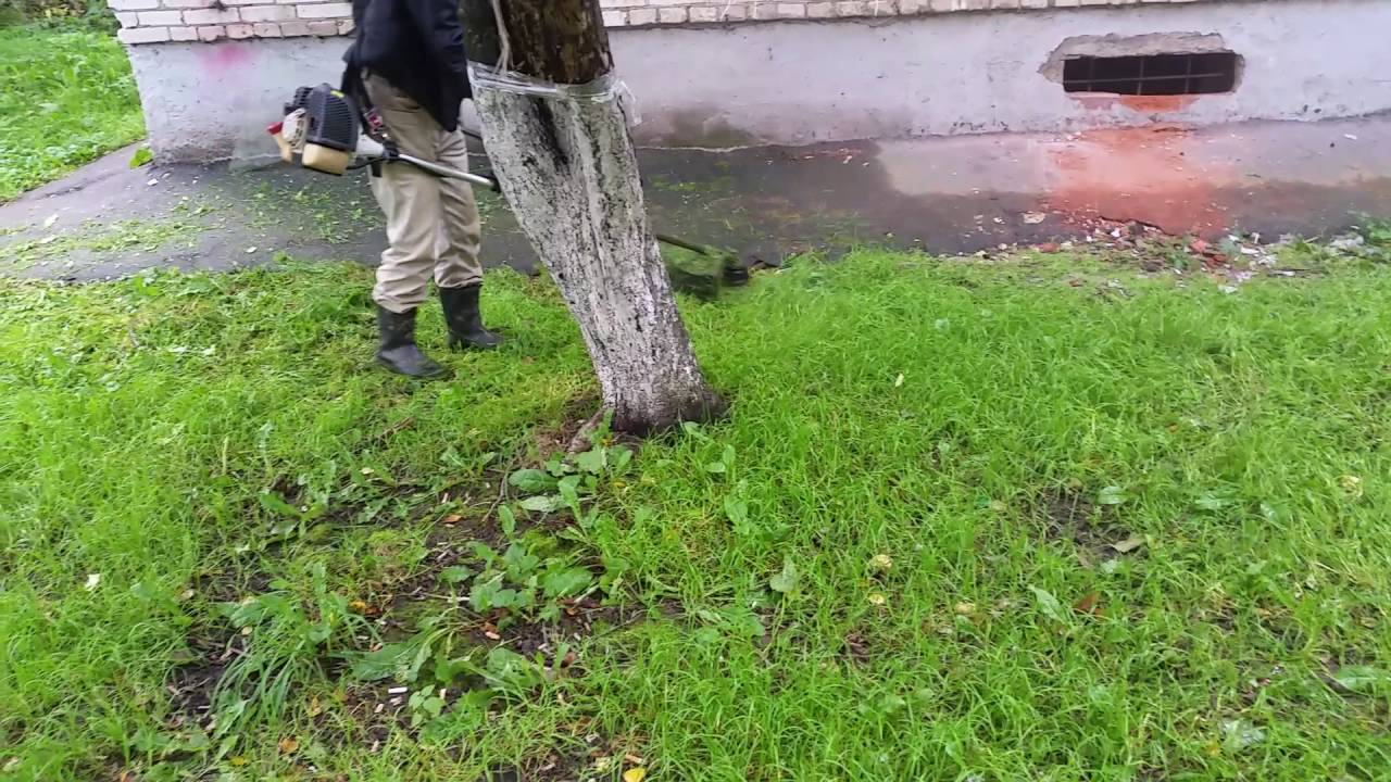 Окос придомовой территории. п.Зеленоградский - YouTube