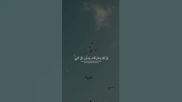 ما تيسر من سورة الأحزاب | القارئ : mevlankurtishi
