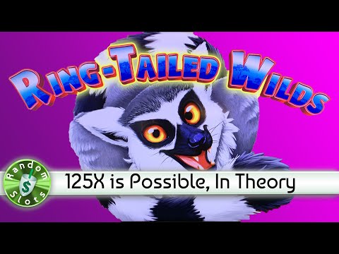 Ring Tail Wilds slot machine Bonus