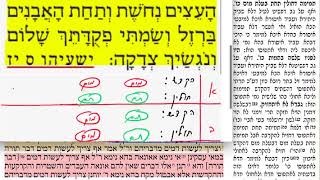 הדף היומי מסכת תמורה דף כז Daf yomi Temurah daf 27
