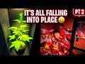 Its all falling into place | Scheldule 1 gameplay | #gaming  #live  #schedule1 #solo