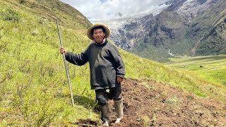 Abuelito Cultiva su Chacra Solo