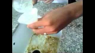Detection of cream adulteration by gelatin