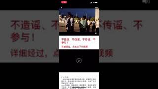镇江退伍老兵被打?公知粪青带路狗的智商还有待于提升很多哦