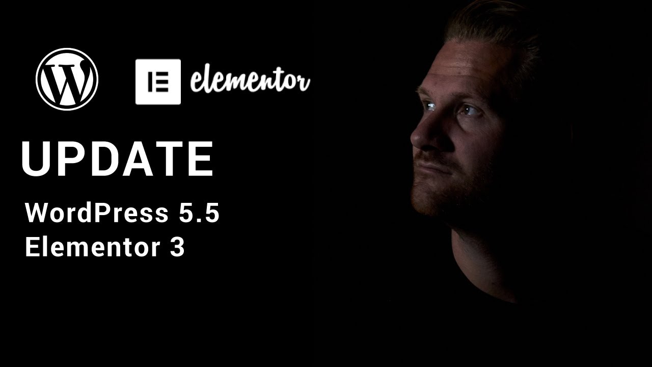 Update auf WordPress 5.5 und Elementor 3 durchführen