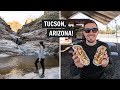 The best two days in tucson az trying sonoran hot dogs mount lemmon sabino canyon  more