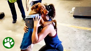 Dog Hugs Owner And Refuses To Let Go