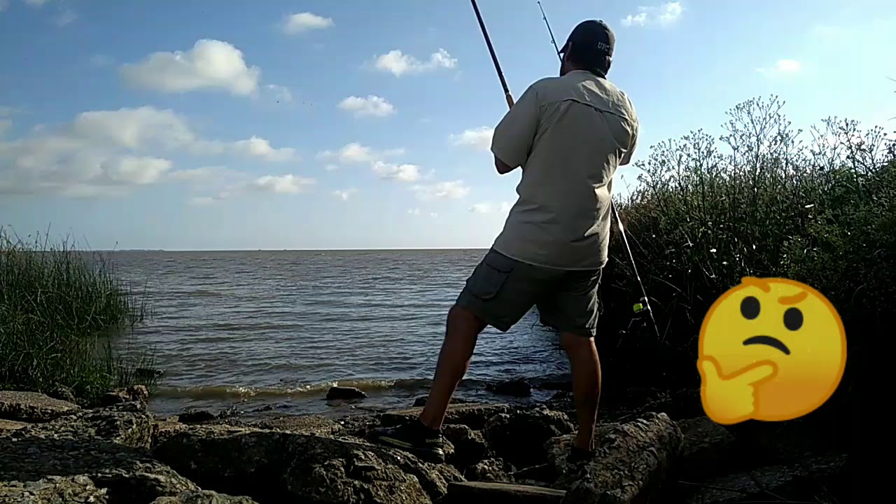 PESCA VARIADA EN LA COSTA DEL RIO DE LA PLATA. UN NUEVO PESQUERO CON UNA ESPECIE RARA PARA LA ZONA
