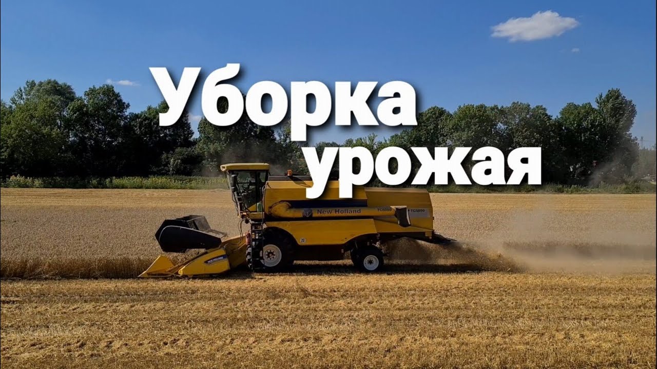 Уборка урожая, прогулка, поле, небо, лес, ручей, водопад