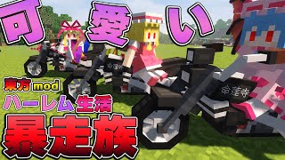マイクラ 遊べる乗り物を作って 新キャラ召喚だ Part4 Touhou Little Maid ゆっくり実況 マインクラフト Minecraft まいくら 東方リトルメイド Minecraft Summary マイクラ動画