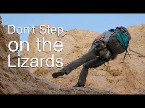 Funky Lizard Canyon, A Canyoneering Adventure