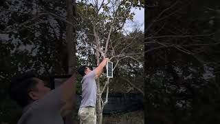 Installing solar light at our farmhouse #solar #farmhouse #shorts