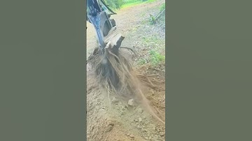 Tree Root Extractor Pull up tree roots easily during on-site construction