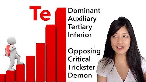 Extraverted Thinking in 8 Positions