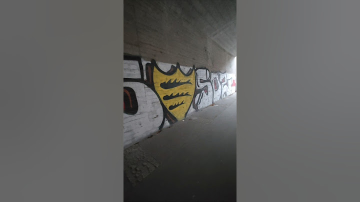 "FORZA VfB" | Champions League | Stuttgart vs. PSG | 29.01.2025