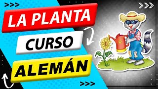 🇩🇪 Partes de la planta en ALEMÁN ❤️🚀👉 [ Didáctico ] 👈