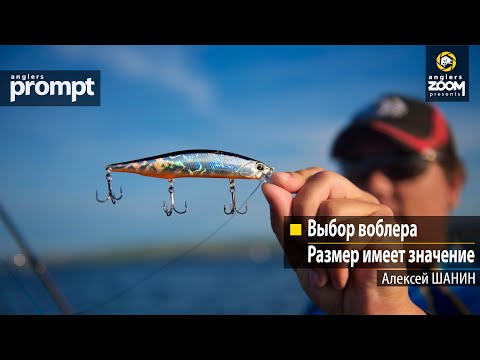 Выбор воблера. Размер имеет значение. Алексей Шанин. Anglers Prompt