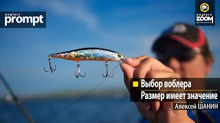 Выбор воблера. Размер имеет значение. Алексей Шанин. Anglers Prompt