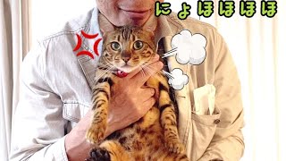 実家から来た父がしつこ過ぎてベル様お怒りです…