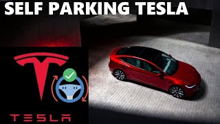 watch a tesla parallel autopark in a real world artificial intelligence experiment tesla fsdbeta ⚡️