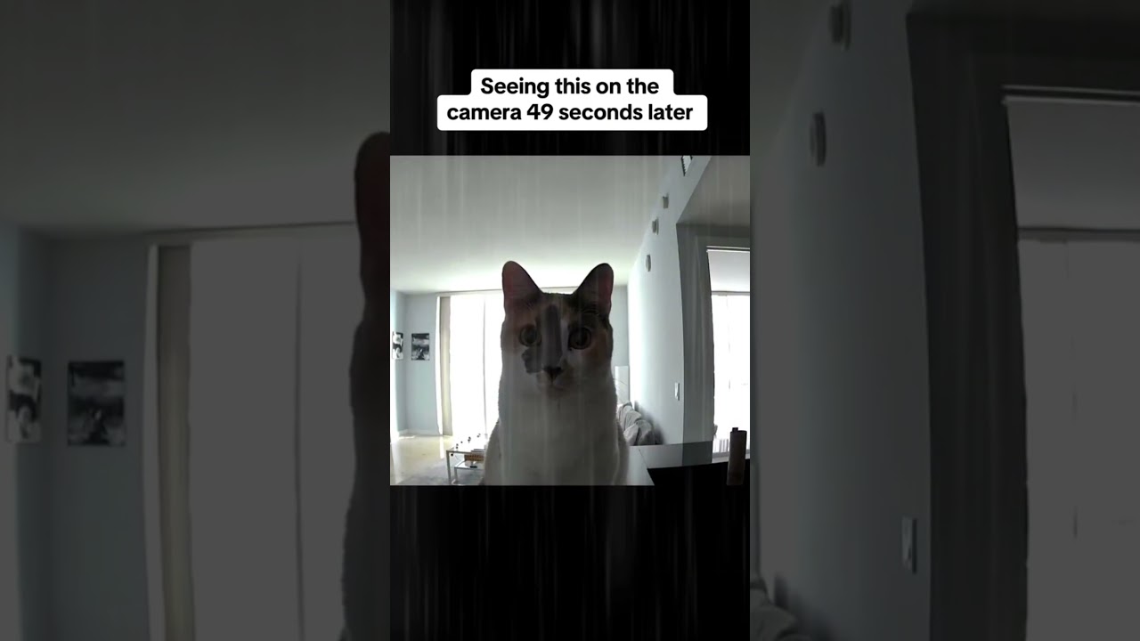 erraticals reposts: video by @lukeofalltrades on tiktok!