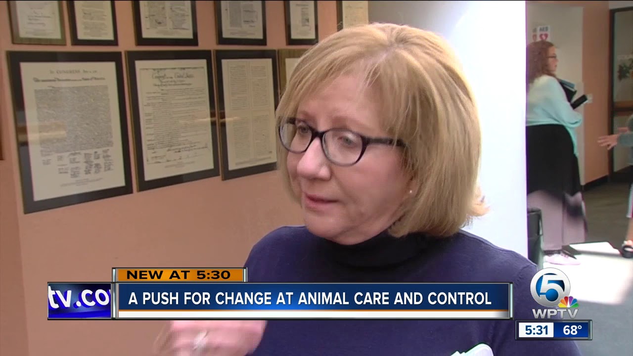 Push for change at Palm Beach County  Animal Care and Control