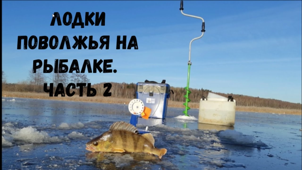 Волга зубцов рыбалка