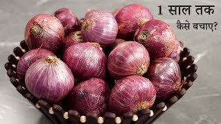 प्याज को 1 साल तक कैसे बचाए - onion storage 1 year long term बिरिस्ता बनाने का प्रोसेस