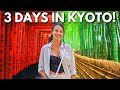 Kyoto travel guide  cost  japan