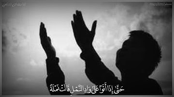 (حَتَّىٰ إِذَا أَتَوْا عَلَىٰ وَادِ النَّمْلِ قَالَتْ نَمْلَةٌ)حالات واتس آب دينيه|آيات قرآنيه قصيره