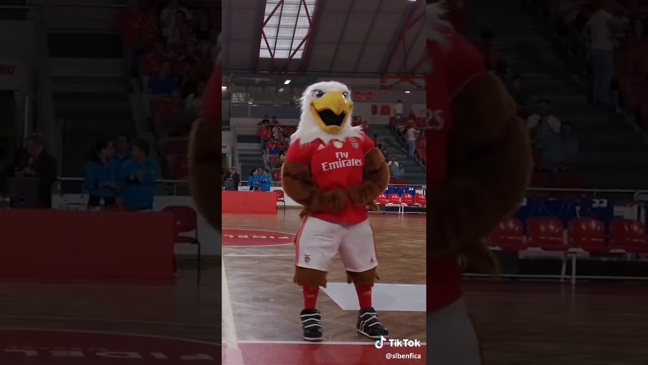 A aguia do Benfica a dancar