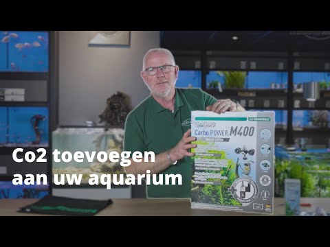 Video: Hoe aquariumkit te gebruiken: stap voor stap instructies. Hoe lang droogt aquariumkit?