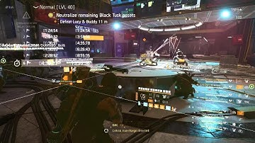 The Division 2, PSN - Dark Hours Raid Buddy & Lucy One shot