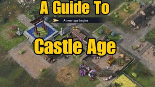 What To Do In Castle Age In Age Of Empires 4