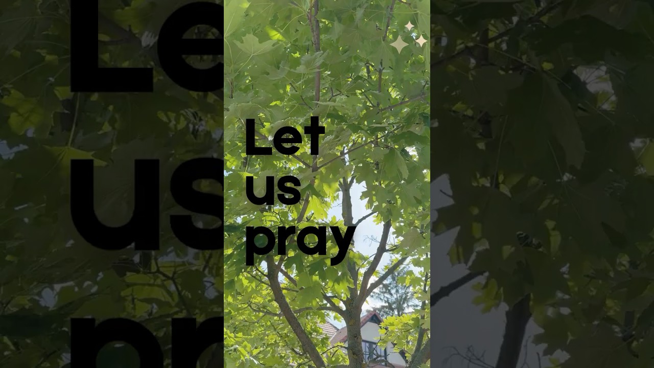 Today's Daily Prayer | 