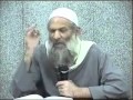 الأشاعرة والماتوريدية