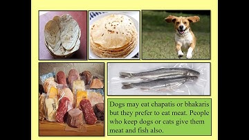 Std III EVS Ls 12 Our Need for Food