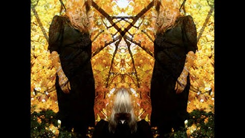 AUSTRA - Beat And The Pulse