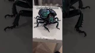 Insect boys #miniature #mechanical #collection #transformer #insect