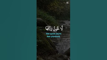 قران الكريم راحة نفسية🌺😊😌#اكسبلور#لايك#المصحف#تيك_توك#الرحمن#دويتو#سورة#سورة_البقرة#duet#الاية#مطر