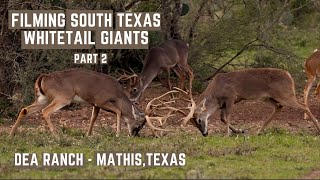 Filming Big SOUTH TEXAS Whitetails & Exotics (HOW TO) | Tejas Hunt Club by Bar MC Media 618 views 4 months ago 22 minutes