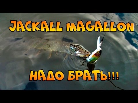 Jackall Magallon - воблер на щуку маст хэв, нюансы использования